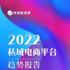 2022私域电商平台趋势报告（附PDF全文）