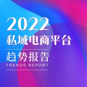 报告分享：《2022年私域电商平台报告》-38页
