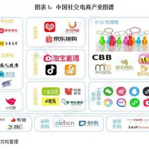 2020年中国社交电商行业发展现状分析