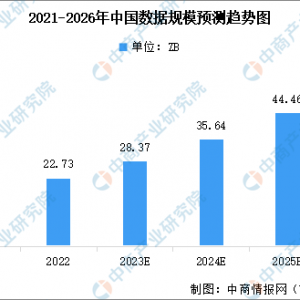 2023年全球及中国数据规模情况预测分析