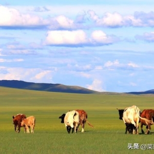 内蒙古旅游攻略——拒绝掉坑内蒙古5日游行程路线参考~