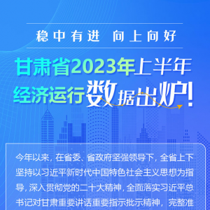 一图读懂｜甘肃省2023年上半年经济运行数据