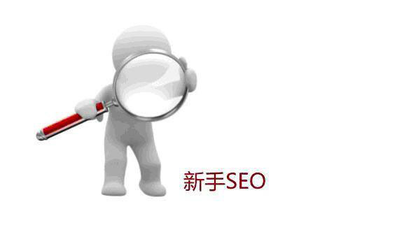 SEO是什么？SEO是什么意思？SEO的目的(图1)