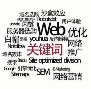 常用的seo专业术语有哪些？(图1)