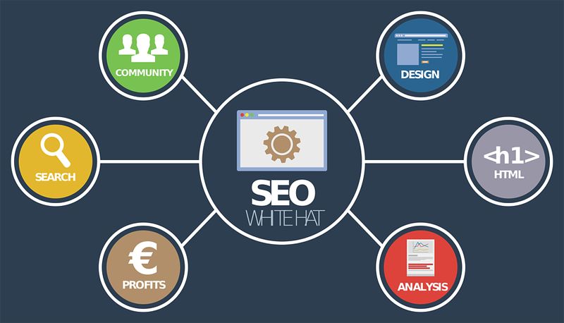 seo优化怎么提升网站的质量度？