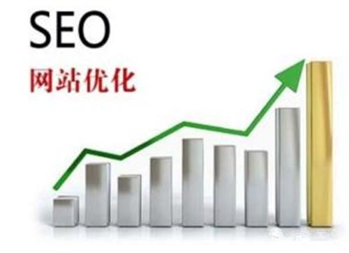 网站收录正常却没有排名是什么原因造成的？