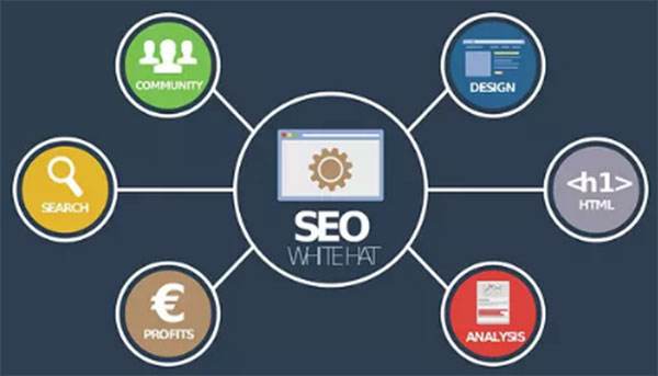 SEO优化未来的侧重方向在哪些方面？