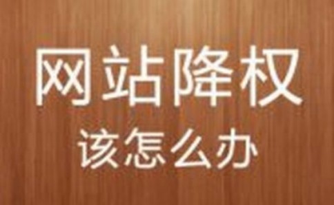 有哪些工具是做seo优化必要用的