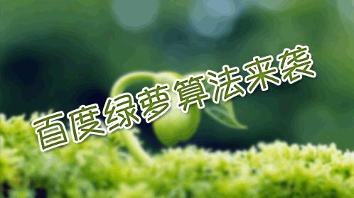 百度绿萝算法1.0和2.0版本分别解读