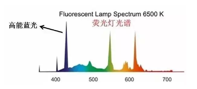 互联网加班狗健康工作指南！