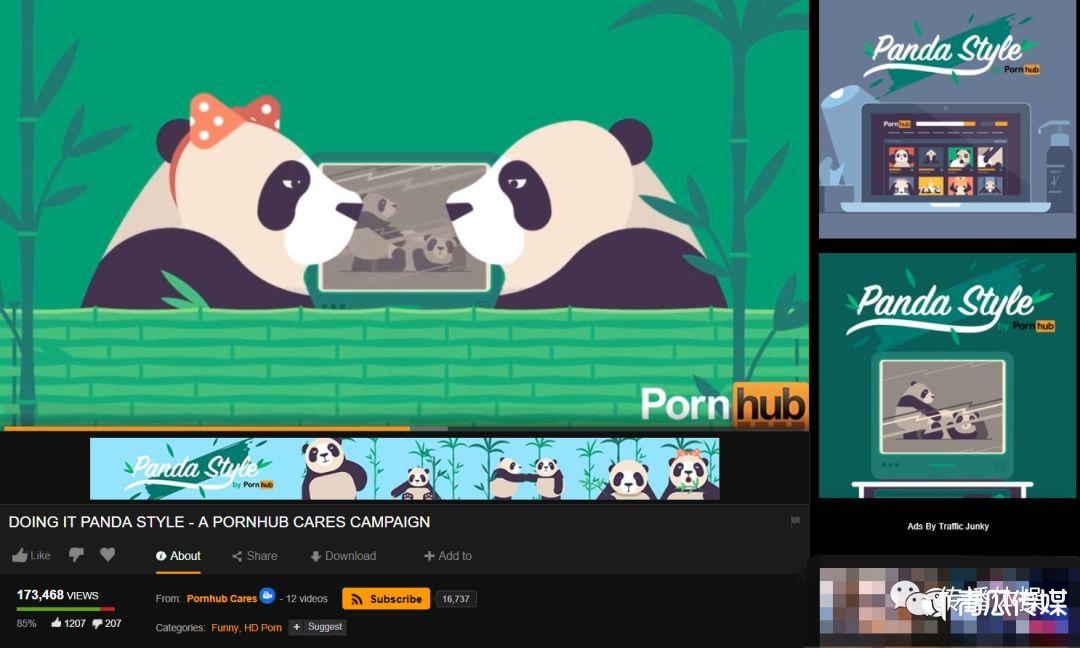 Pornhub，一个神奇的网站