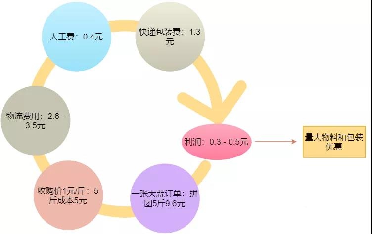 低价,优势,策略,品牌