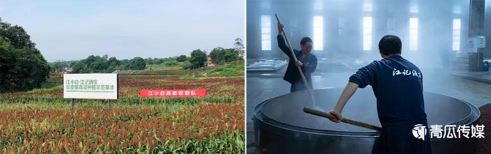 000字解析江小白的新消费之路！"