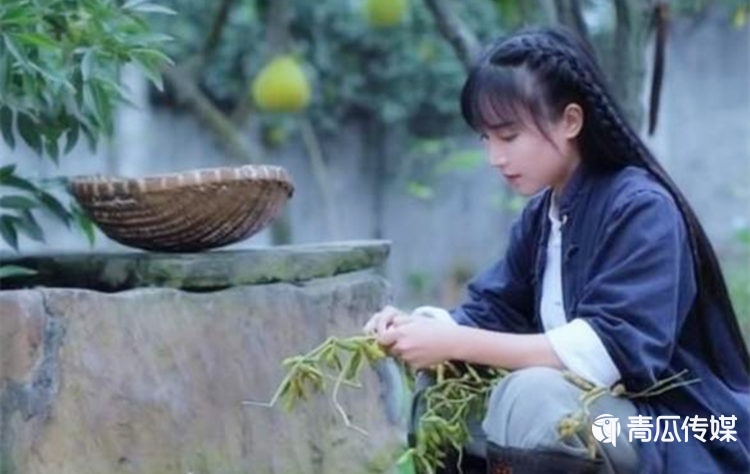 谁在“吞噬”李子柒？