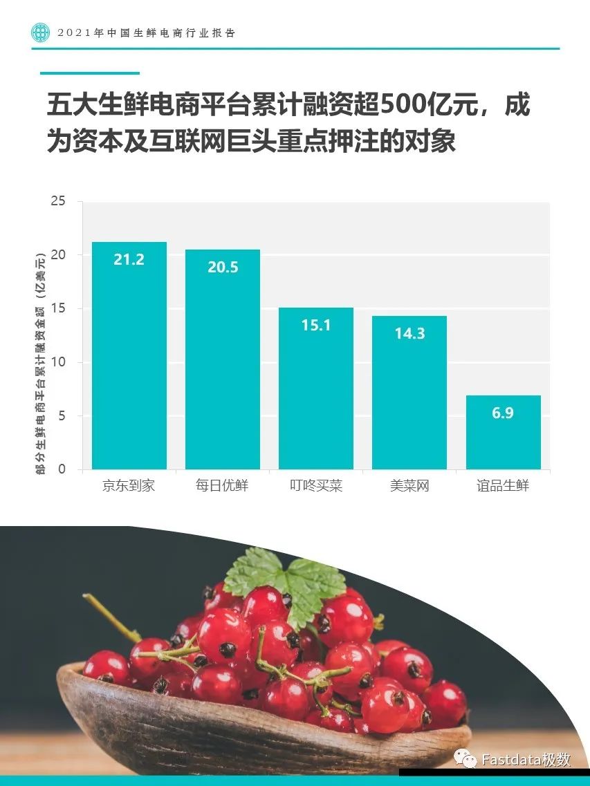Fastdata极数：2022年中国生鲜电商行业报告