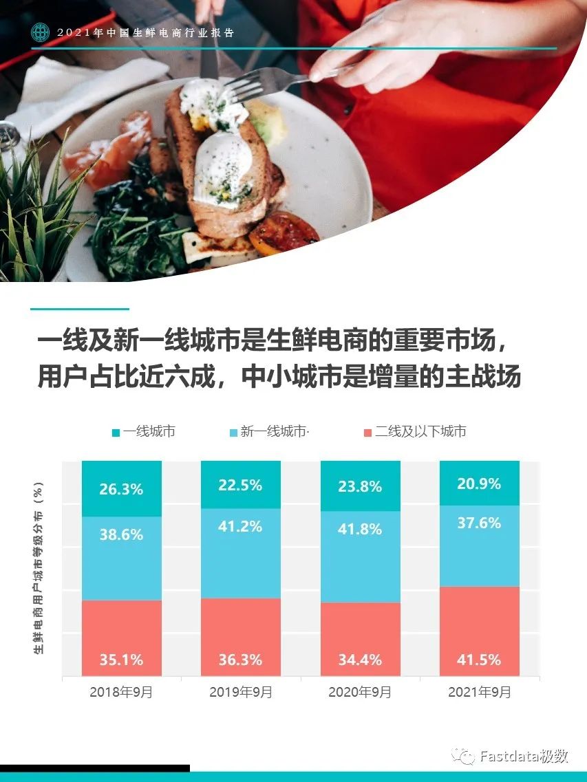 Fastdata极数：2022年中国生鲜电商行业报告