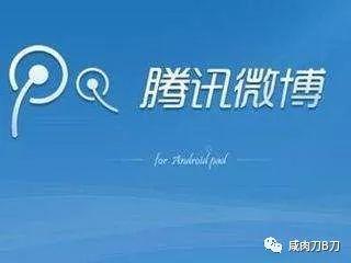 守望者星空：马化腾的麦田和悬崖