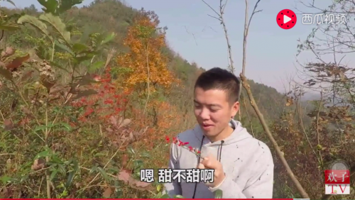 图片3